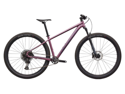 BICICLETA SPECIALIZED ROCKHOPPER EXPERT 2026 (Satin Quartz Metallic)