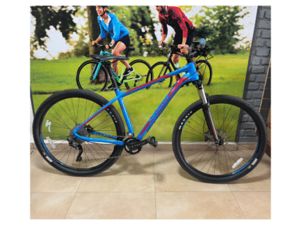 BICICLETA MÉRIDA BIG NINE 300