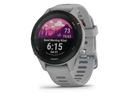 Garmin Forerunner 255S (Powder Grey)