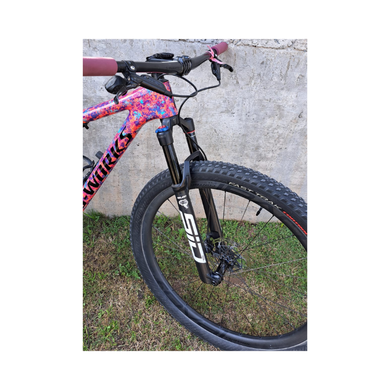 BICICLETA S-WORKS EPIC WORLD CUP - Imagen 3