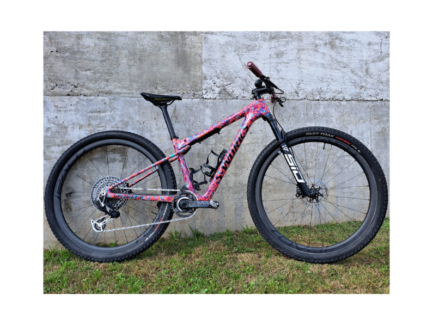 BICICLETA S-WORKS EPIC WORLD CUP